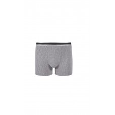 Ανδρικό Boxer πουά (WM9900.A024) ΓΚΡΙ